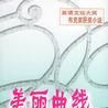 美麗曲線(阿蘭·霍林赫斯特所著圖書) 美麗曲線(阿蘭·霍林赫斯特所著圖書)