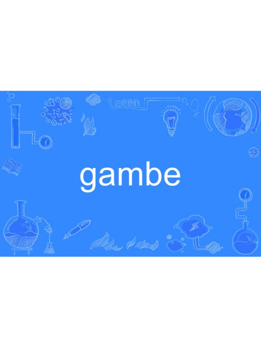 gambe gambe