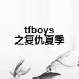 tfboys之復仇夏季 tfboys之復仇夏季