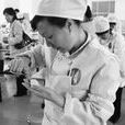 中式麵點師(製作中國風味的麵食或小吃的人員)