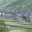 承村村