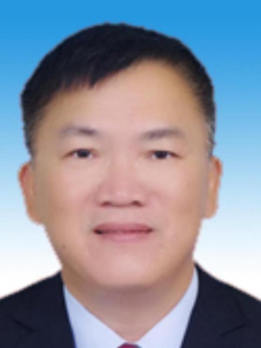 王少平(廣東省東莞市寮步鎮黨委委員、紀委書記) 王少平(廣東省東莞市寮步鎮黨委委員、紀委書記)
