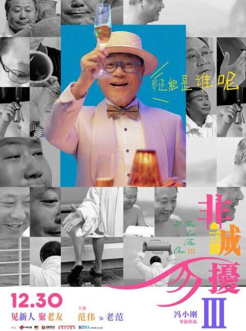 非誠勿擾3(2023年馮小剛執導的電影)