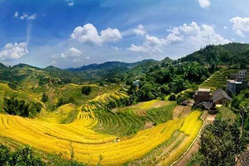 長江鎮(廣西壯族自治區河池市東蘭縣下轄鎮) 長江鎮(廣西壯族自治區河池市東蘭縣下轄鎮)