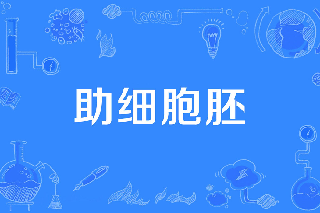助細胞胚 助細胞胚