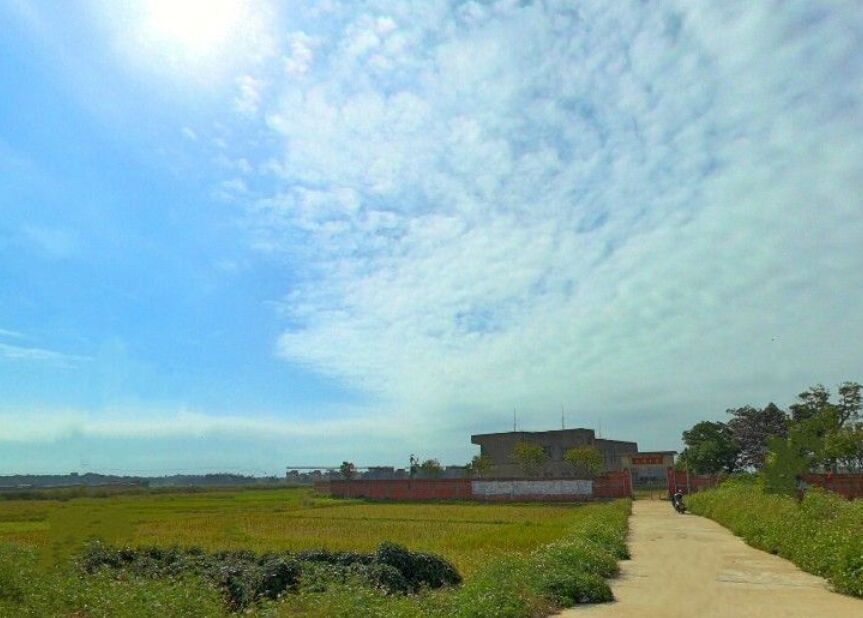 三勇國小 三勇國小
