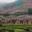 虎頭村(福建寧德市福安市穆雲鄉下轄村) 虎頭村(福建寧德市福安市穆雲鄉下轄村)