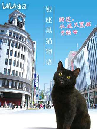 柴田明良 柴田明良