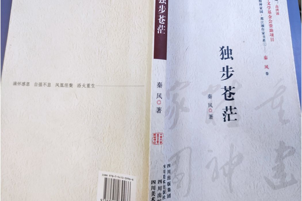 獨步蒼茫(詩集) 獨步蒼茫(詩集)