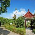 新庵村(福建泉州市馬甲鎮下轄村) 新庵村(福建泉州市馬甲鎮下轄村)