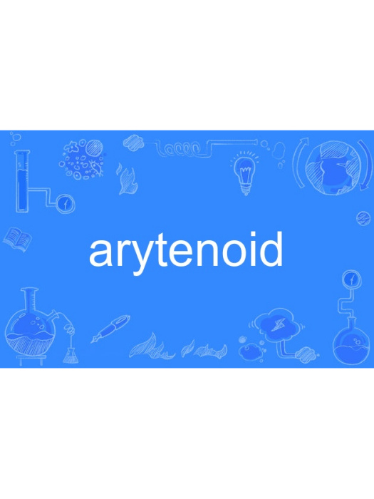 arytenoid arytenoid