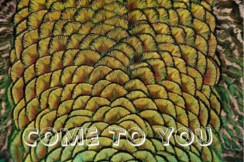 Come To You Come To You