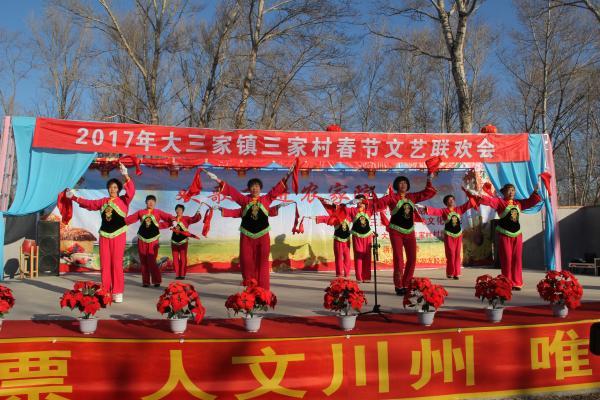 大三家鎮 大三家鎮