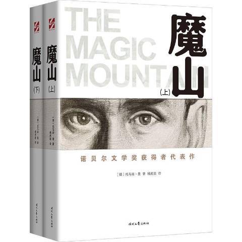 魔山(2021年時代文藝出版社出版的圖書) 魔山(2021年時代文藝出版社出版的圖書)