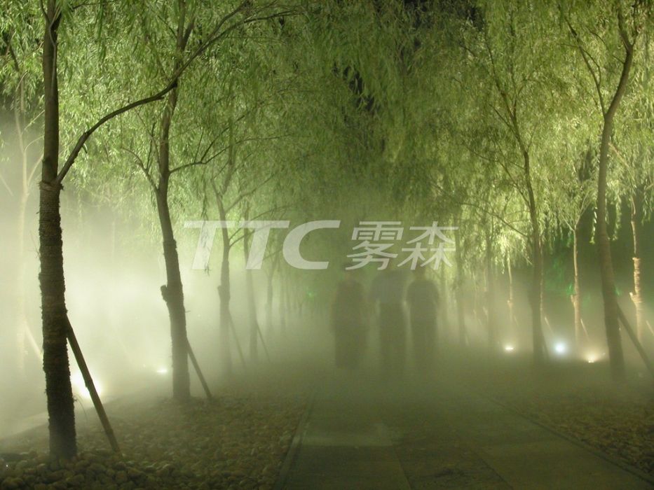 TTC霧森 TTC霧森