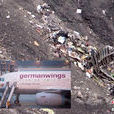 3·24德國之翼航空公司墜機事件(3·24法國客機墜毀事故)