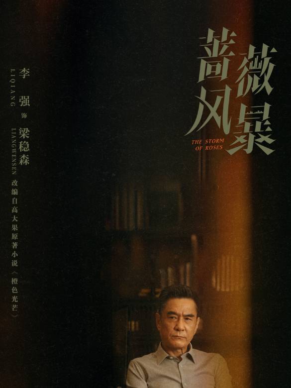 薔薇風暴(2024年惠楷棟執導的職場劇)