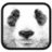 萌胖達