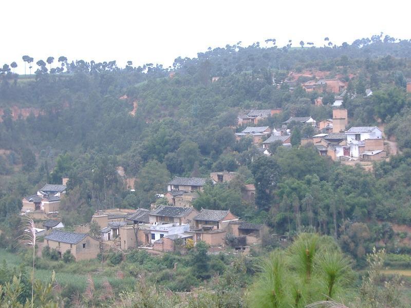 同草溝村 同草溝村