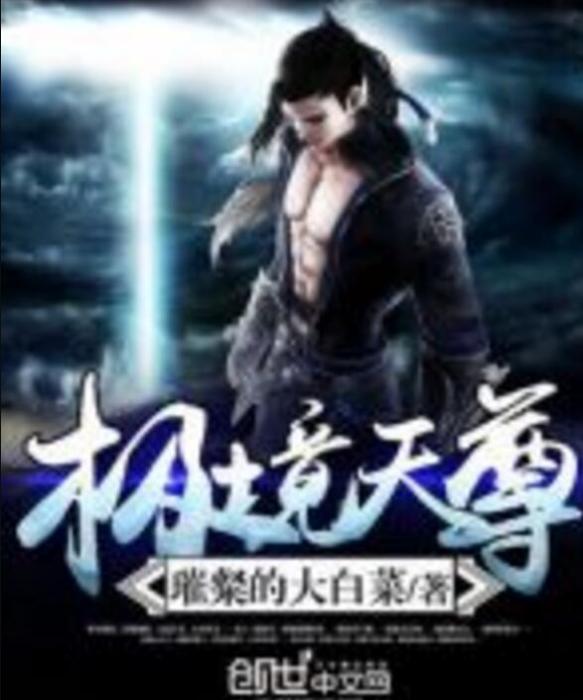 極境天尊 極境天尊