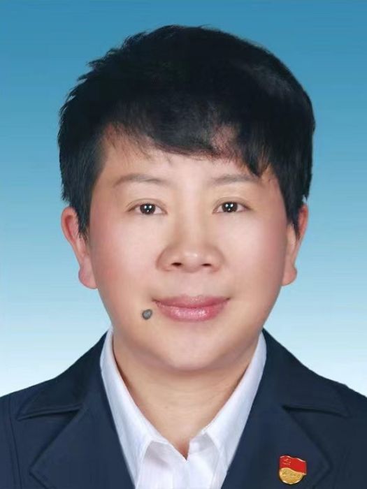 汪霞(雲南省紅河州箇舊市委副書記,市人民政府黨組書記、市長) 汪霞(雲南省紅河州箇舊市委副書記,市人民政府黨組書記、市長)