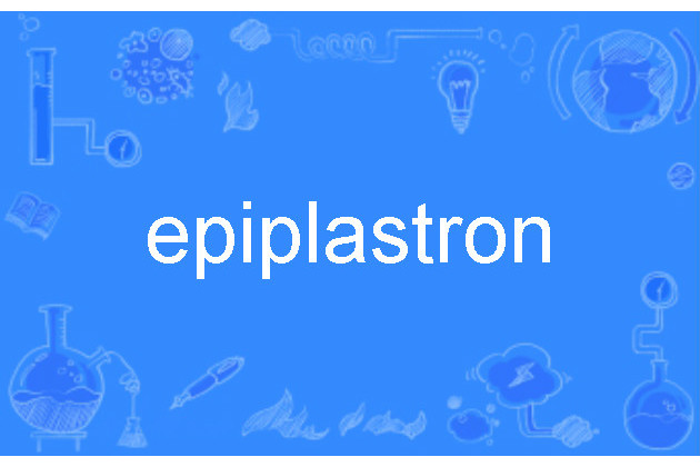 epiplastron epiplastron