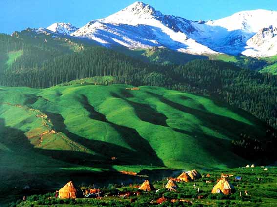 托木爾峰國家高山自然保護區