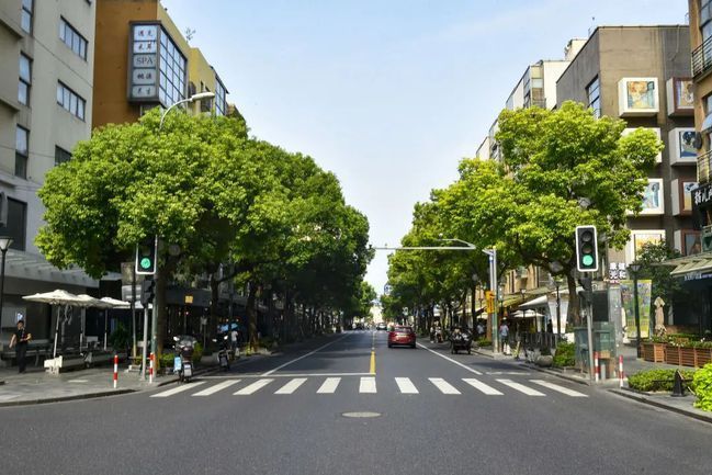 大學路(義烏市大學路) 大學路(義烏市大學路)