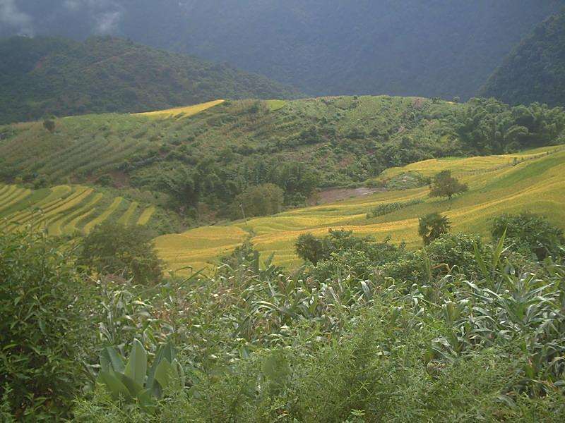 大馬郎村 大馬郎村