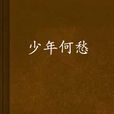 少年何愁 少年何愁
