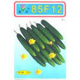 85F12 85F12