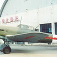伊爾-10攻擊機