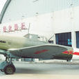 伊爾-10攻擊機 伊爾-10攻擊機