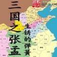 三國之張孟高