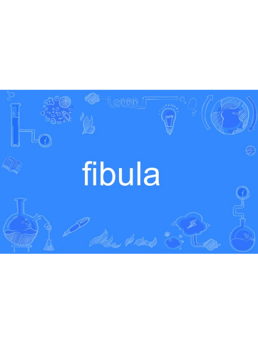 fibula fibula