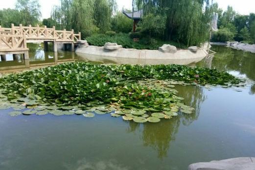 古榆園 古榆園