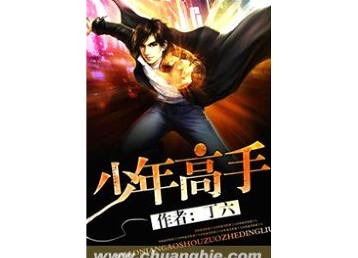 少年高手(丁六所著小說) 少年高手(丁六所著小說)