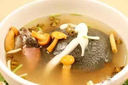 石決明湯 石決明湯