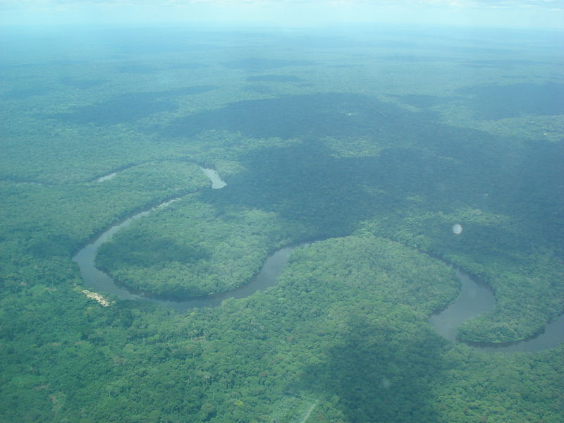 盧凱尼河穿越原始森林時彎曲的河道
