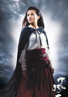 風雲2(2009年彭氏兄弟執導電影)