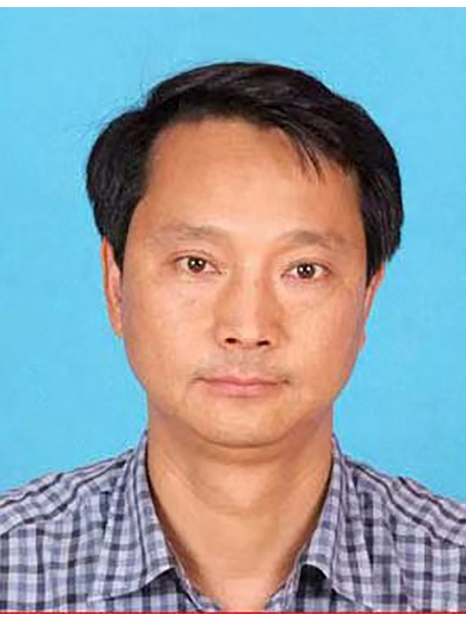 王林化