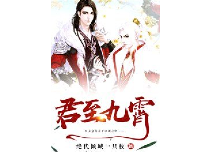 君至九霄 君至九霄