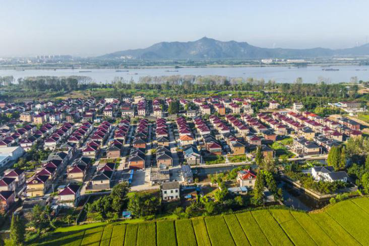 新治村 新治村