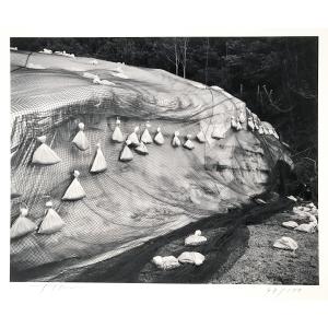 Toshio Shibata