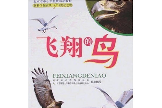 飛翔的鳥(2007年北京師範大學出版社出版的圖書) 飛翔的鳥(2007年北京師範大學出版社出版的圖書)