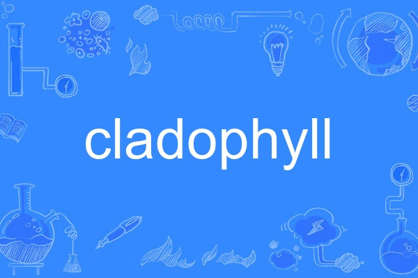 cladophyll cladophyll