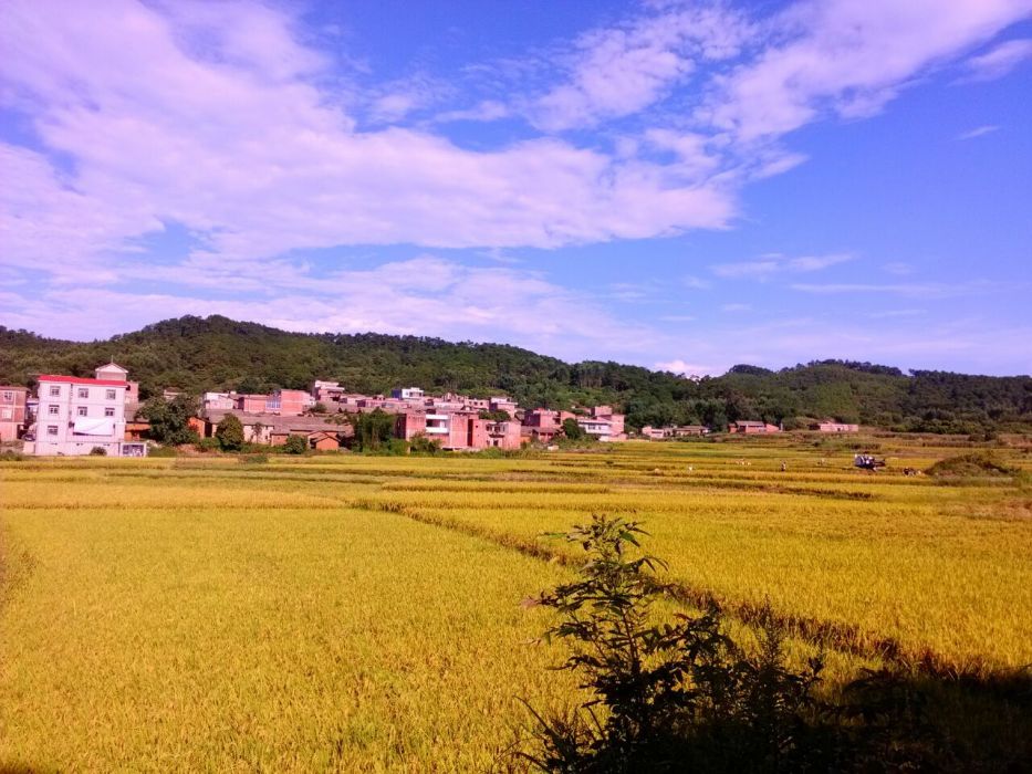 潭塘村 潭塘村