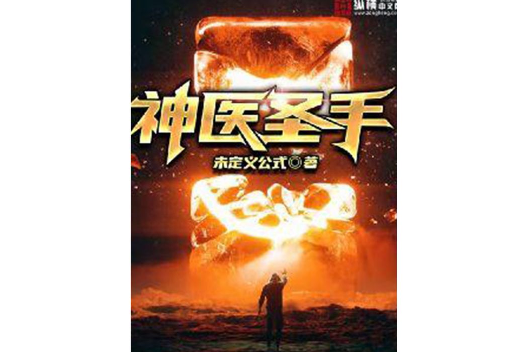 神醫聖手(未定義公式所著小說) 神醫聖手(未定義公式所著小說)