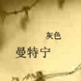 灰色曼特寧 灰色曼特寧