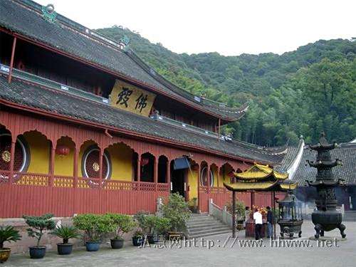 天禧寺竹 天禧寺竹